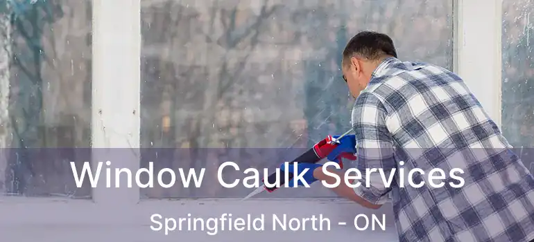  Window Caulk Services Springfield North - ON