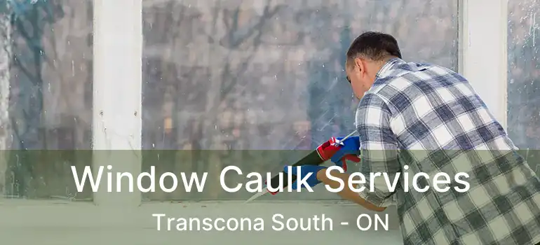  Window Caulk Services Transcona South - ON