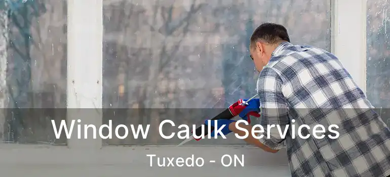  Window Caulk Services Tuxedo - ON
