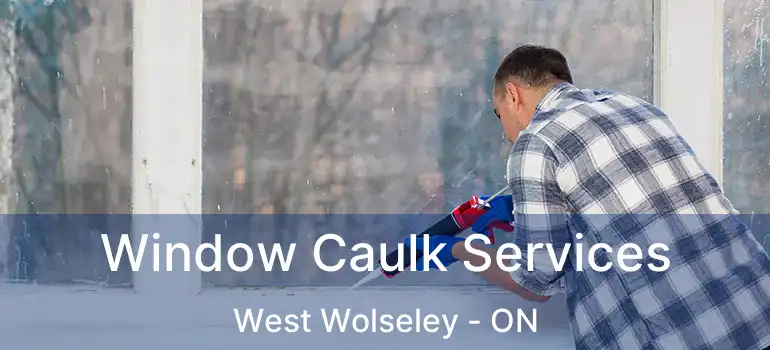  Window Caulk Services West Wolseley - ON