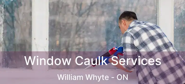  Window Caulk Services William Whyte - ON