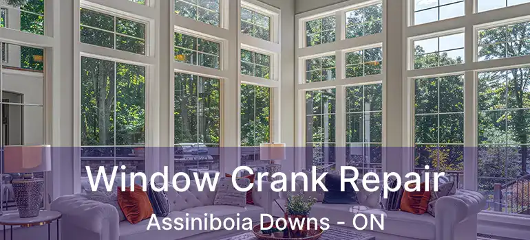  Window Crank Repair Assiniboia Downs - ON