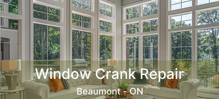  Window Crank Repair Beaumont - ON