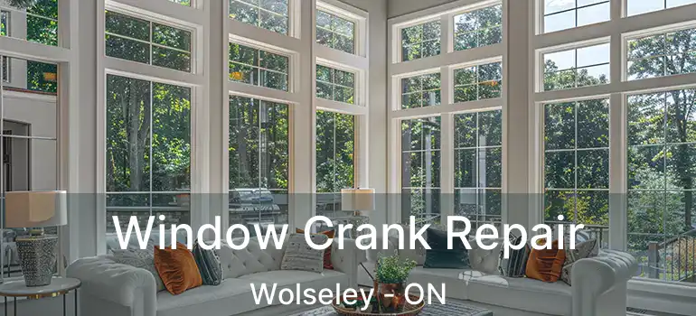  Window Crank Repair Wolseley - ON
