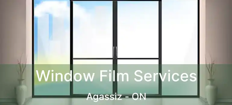 Window Film Services Agassiz - ON