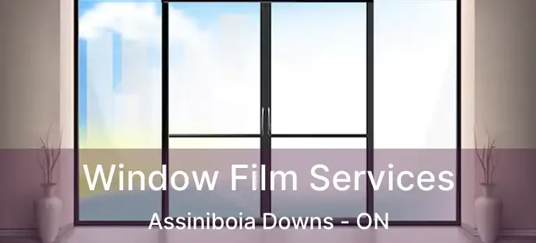  Window Film Services Assiniboia Downs - ON