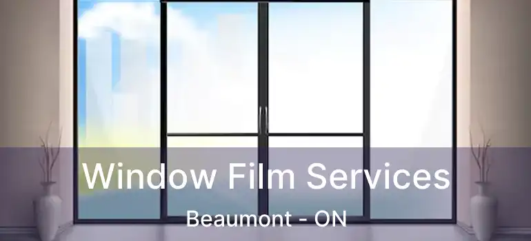  Window Film Services Beaumont - ON