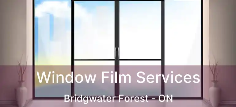  Window Film Services Bridgwater Forest - ON