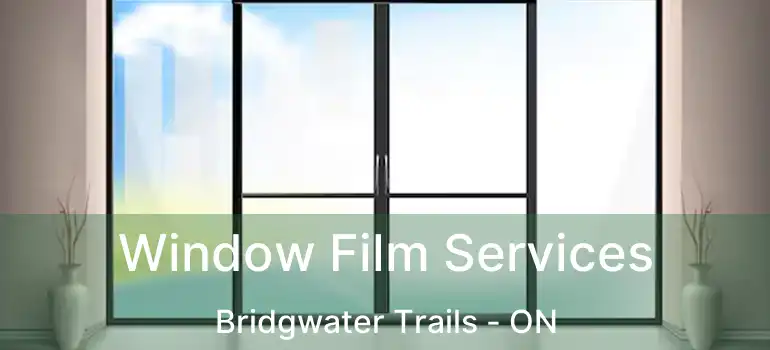  Window Film Services Bridgwater Trails - ON
