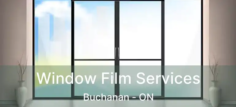  Window Film Services Buchanan - ON