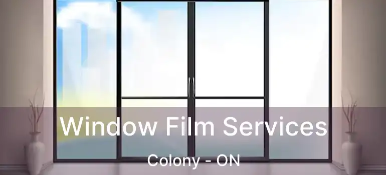  Window Film Services Colony - ON
