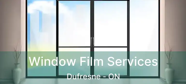 Window Film Services Dufresne - ON