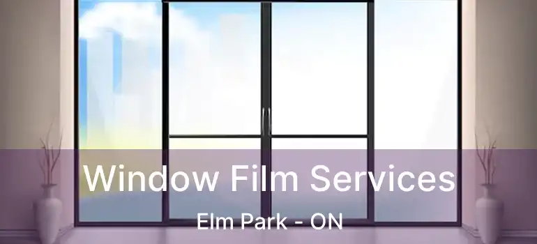  Window Film Services Elm Park - ON