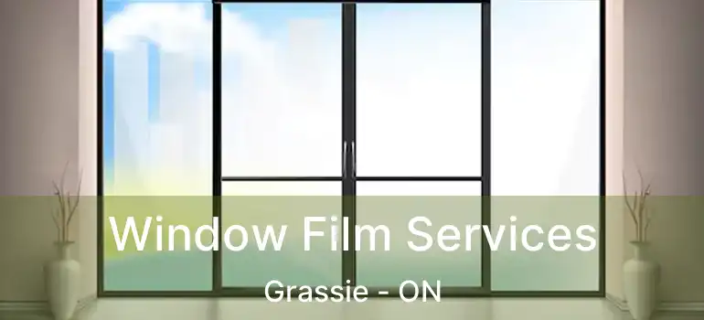  Window Film Services Grassie - ON