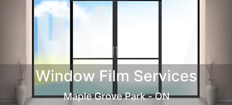  Window Film Services Maple Grove Park - ON