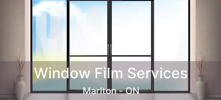  Window Film Services Marlton - ON