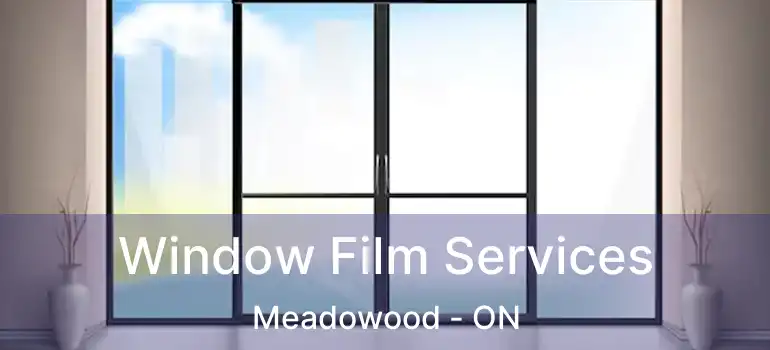  Window Film Services Meadowood - ON