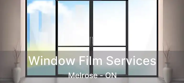  Window Film Services Melrose - ON