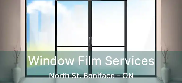  Window Film Services North St. Boniface - ON