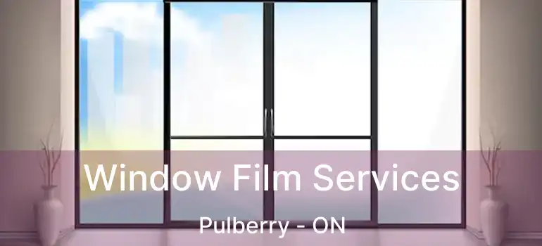  Window Film Services Pulberry - ON