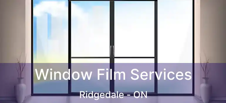  Window Film Services Ridgedale - ON