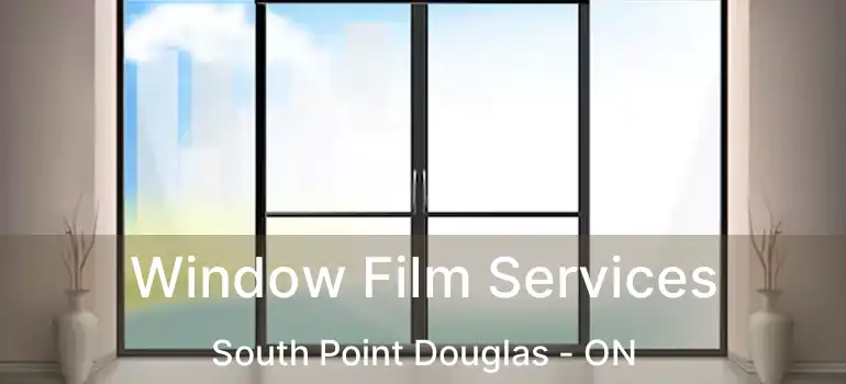  Window Film Services South Point Douglas - ON
