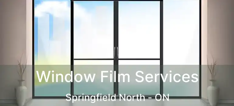  Window Film Services Springfield North - ON