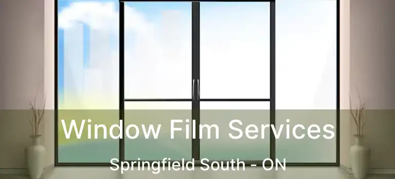  Window Film Services Springfield South - ON