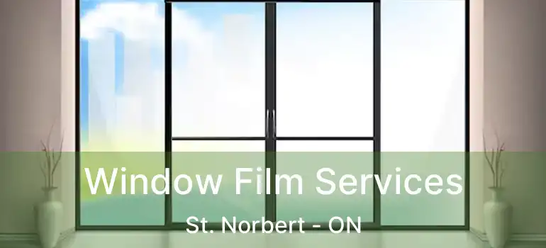  Window Film Services St. Norbert - ON