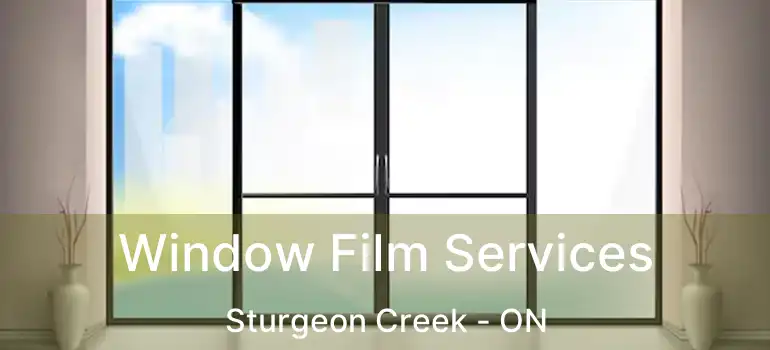  Window Film Services Sturgeon Creek - ON