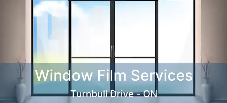  Window Film Services Turnbull Drive - ON