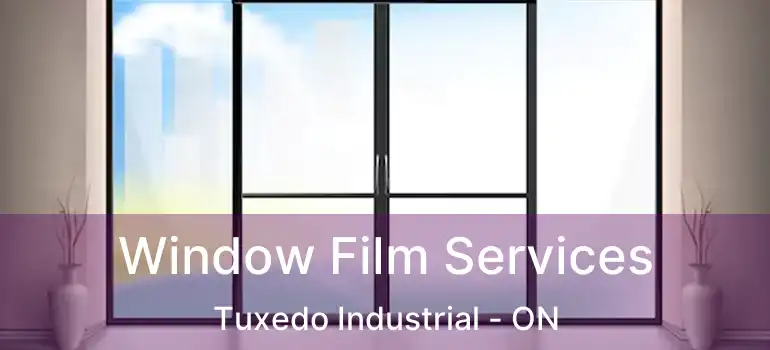  Window Film Services Tuxedo Industrial - ON