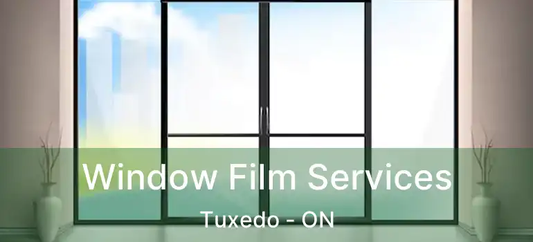  Window Film Services Tuxedo - ON