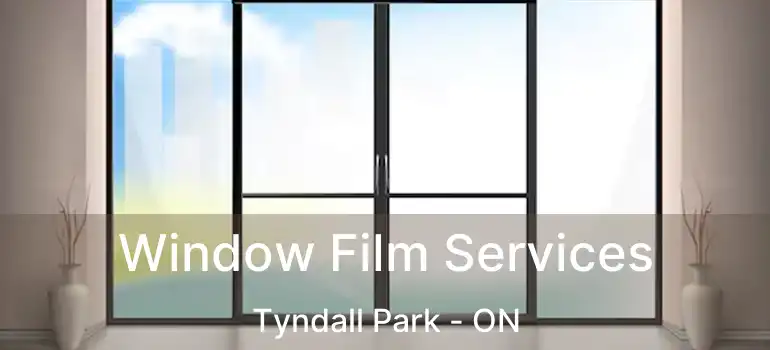  Window Film Services Tyndall Park - ON