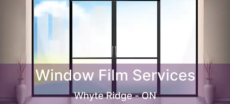  Window Film Services Whyte Ridge - ON