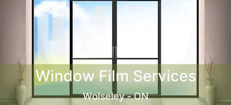 Window Film Services Wolseley - ON
