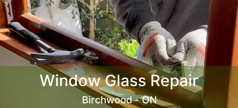  Window Glass Repair Birchwood - ON