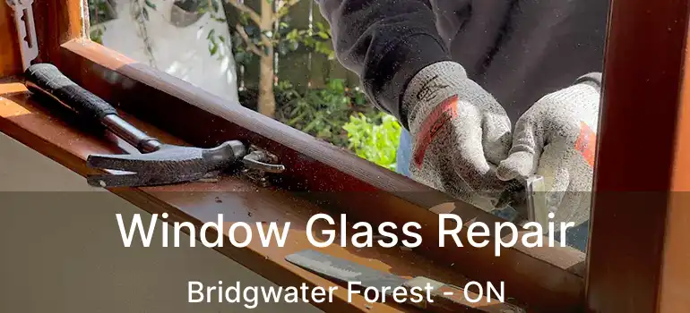 Window Glass Repair Bridgwater Forest - ON