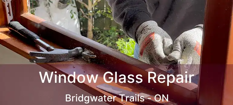 Window Glass Repair Bridgwater Trails - ON