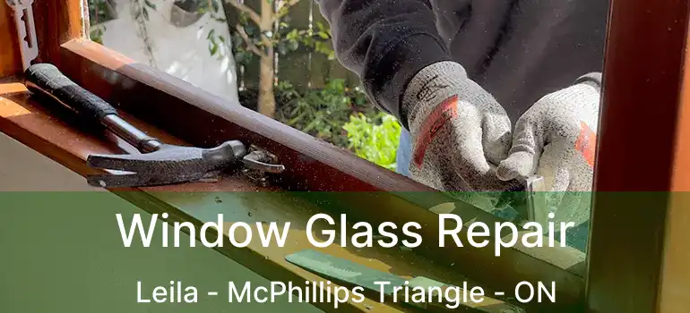  Window Glass Repair Leila - McPhillips Triangle - ON