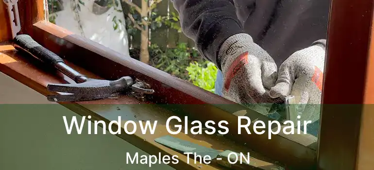  Window Glass Repair Maples The - ON