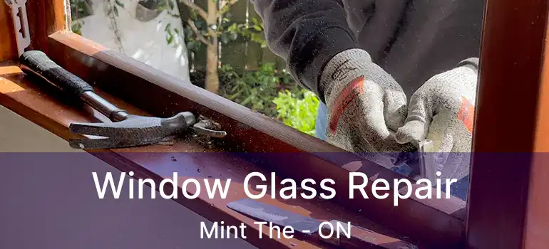  Window Glass Repair Mint The - ON