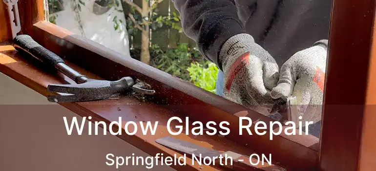  Window Glass Repair Springfield North - ON