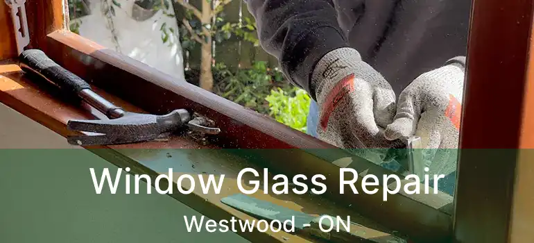  Window Glass Repair Westwood - ON