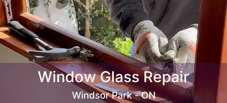  Window Glass Repair Windsor Park - ON