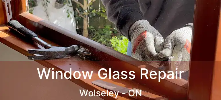  Window Glass Repair Wolseley - ON