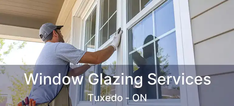  Window Glazing Services Tuxedo - ON