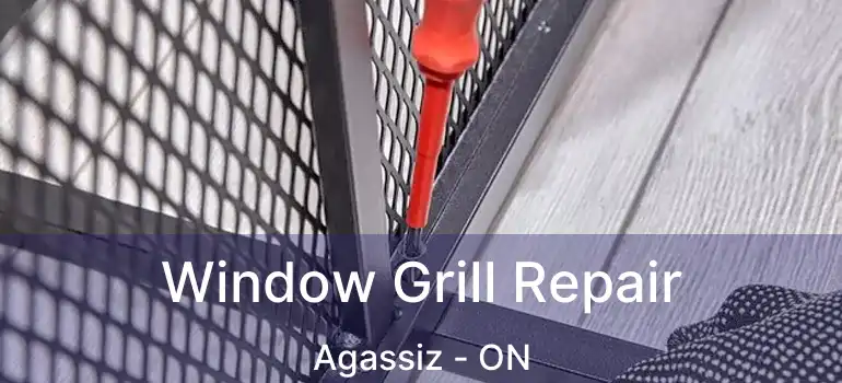  Window Grill Repair Agassiz - ON