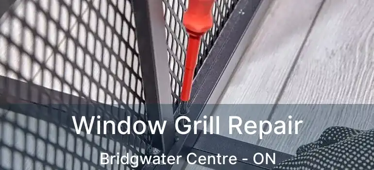  Window Grill Repair Bridgwater Centre - ON