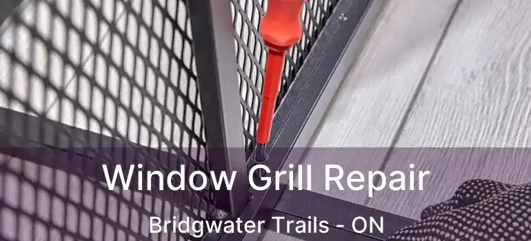  Window Grill Repair Bridgwater Trails - ON